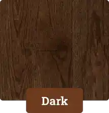 Dark-1.webp