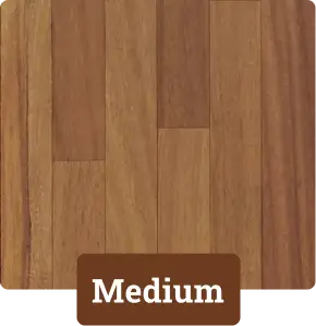 Medium.webp